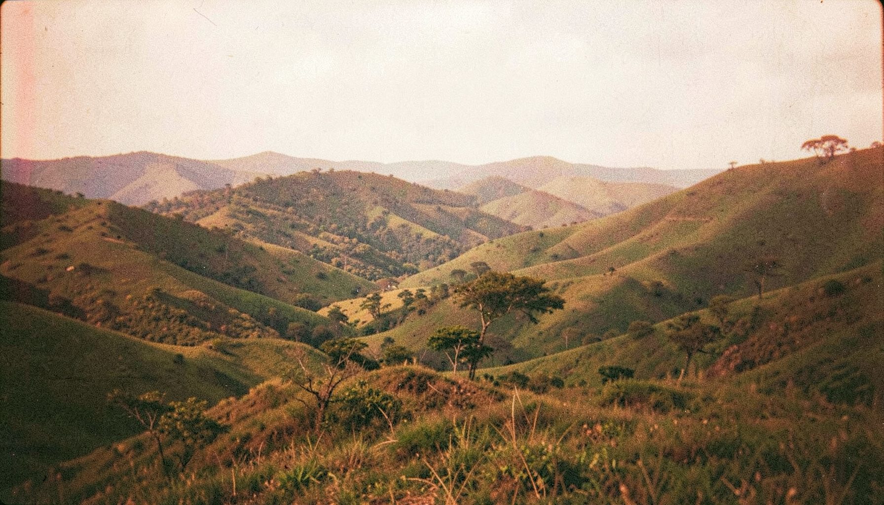 A grainy analog film photograph of a highland landscape in Plateau State, rolling green hills under soft morning light, earthy browns and muted greens.